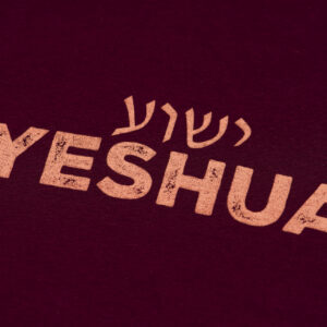 YESHUA Wind & Waves Youth Tee - Maroon