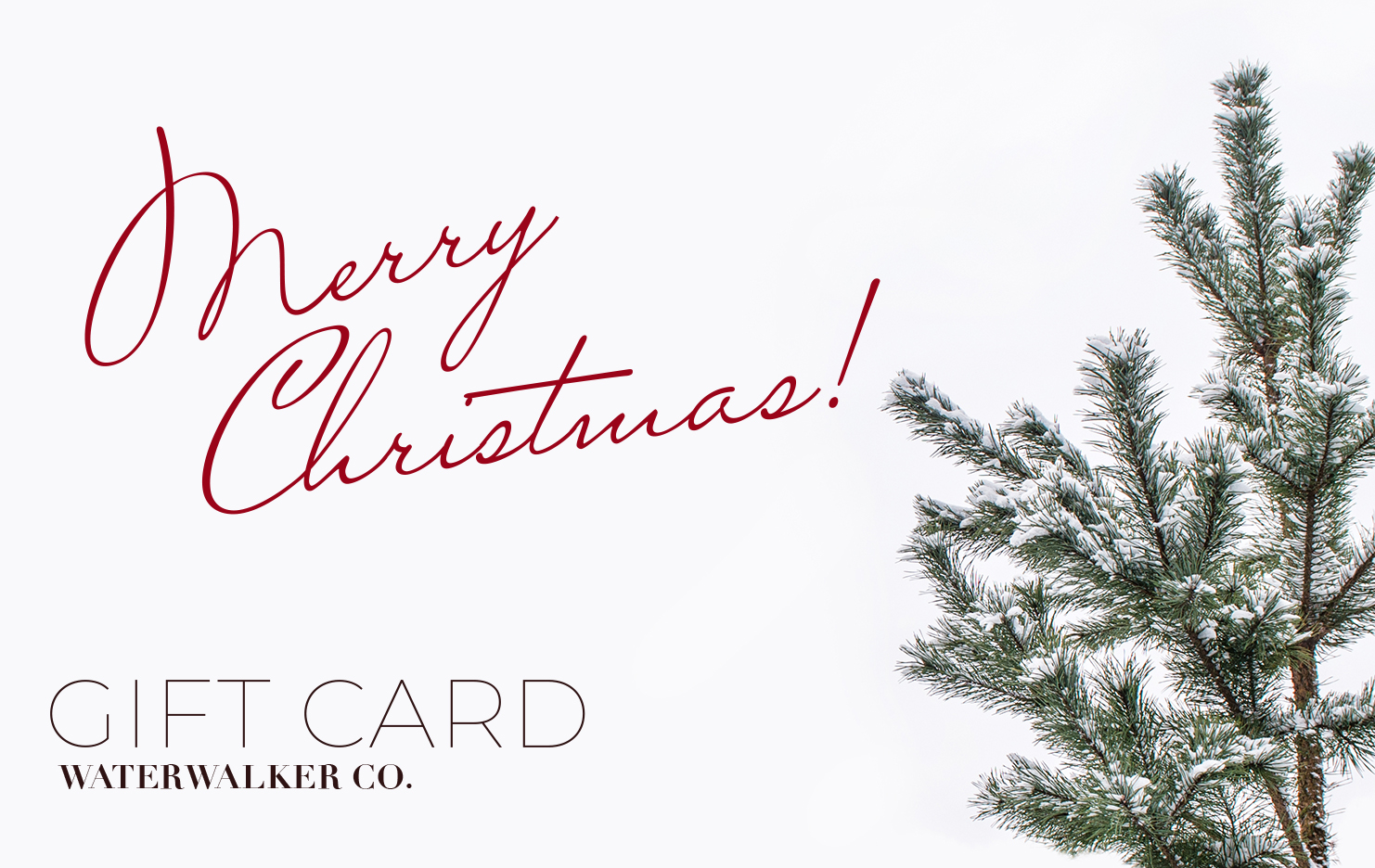 _Prophetic Christian Clothing Brand Streetwear Gift Card - Image 3